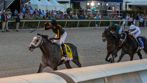 Knicks Go, Pegasus World Cup, Gulfstream Park, America's Best Racing, horse racing, ABR